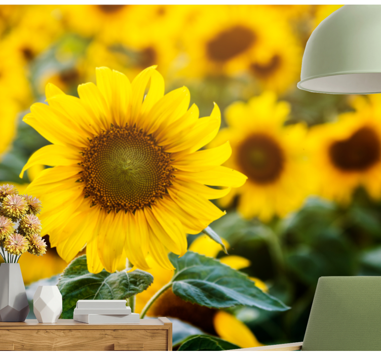 Fototapete blumen sonnenblumenfeld blüte - TenStickers