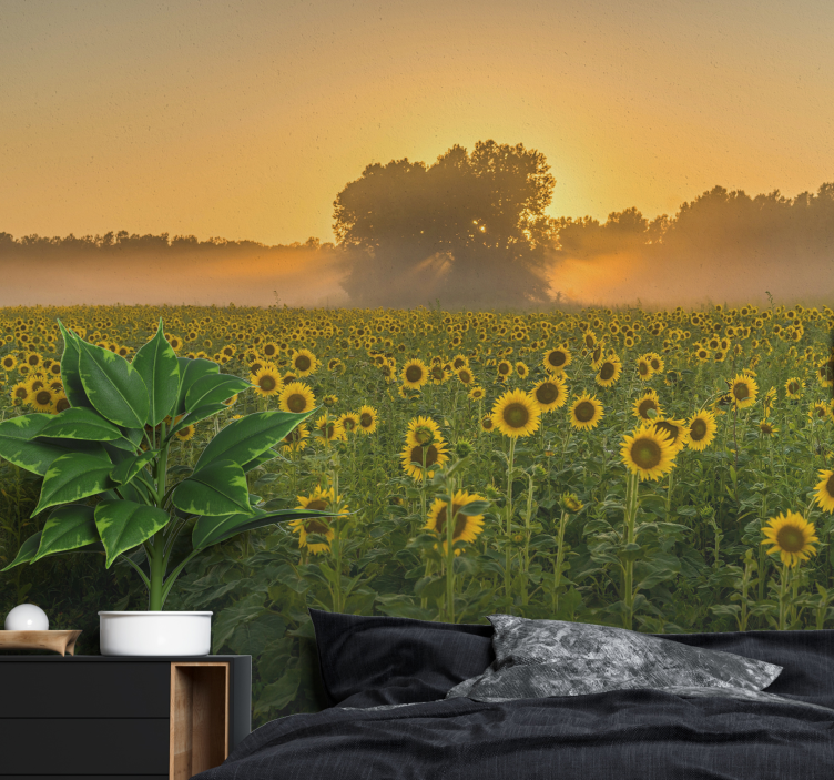 Fototapete Blumen sonnenblumenfeld sonnenuntergang - TenStickers