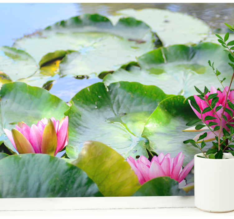 Fototapete Blumen üppige rosa lilien - TenStickers