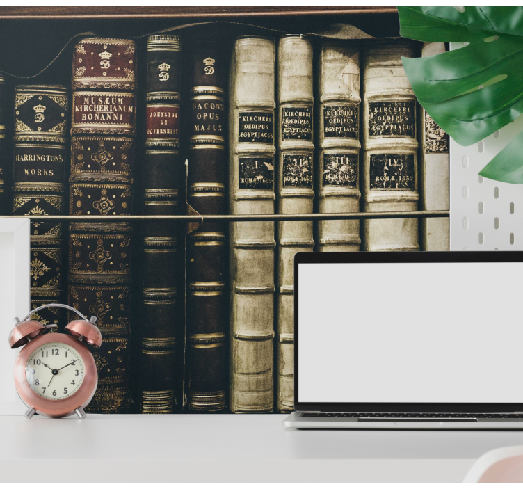 Fototapete klassische kunst antiquarische bücherregale - TenStickers