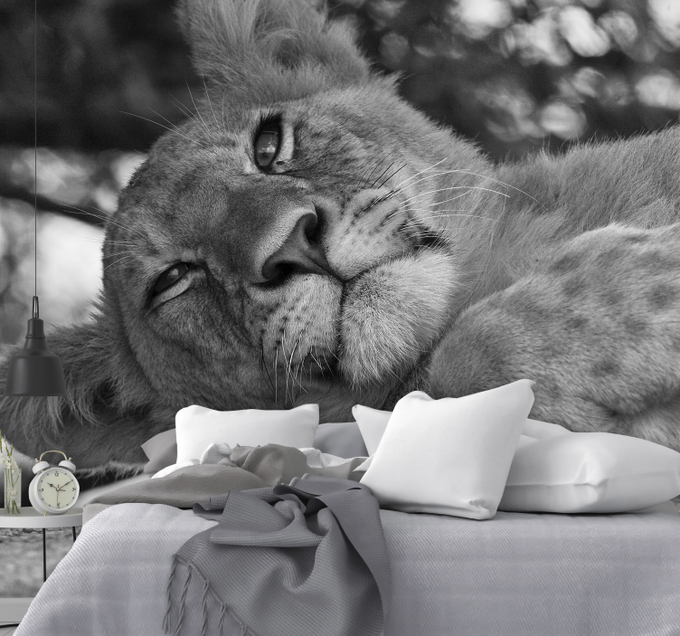 Fototapete löwe majestätischer entspannungsblick - TenStickers