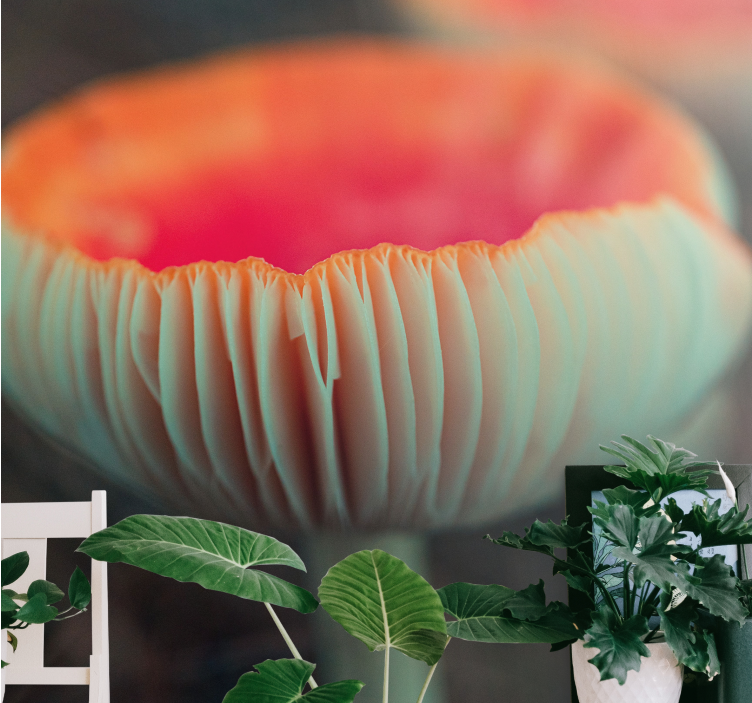 Fototapete mohnblumen elegant poppy blossom - TenStickers