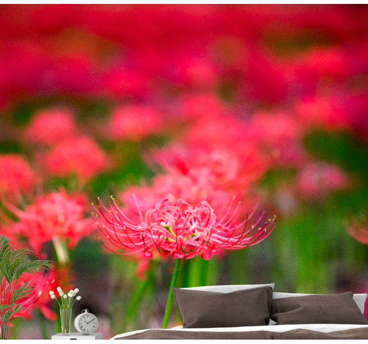 Fototapete mohnblumen lebendige rote blumen - TenStickers