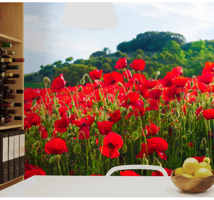 Fototapete mohnblumen rotes mohnfeld - TenStickers