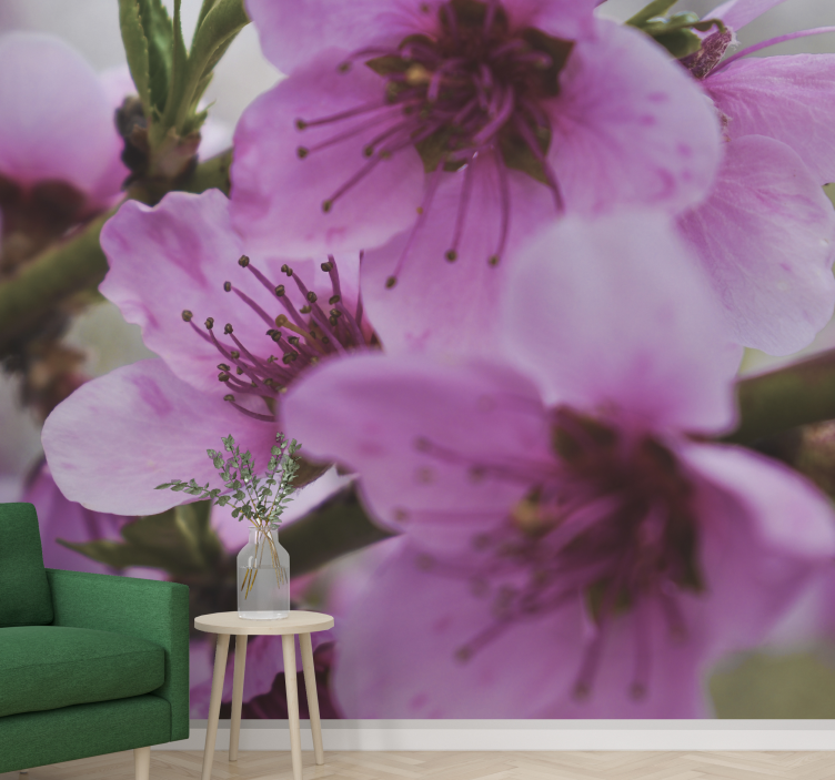 Fototapete mohnblumen strahlende pinke blumen - TenStickers