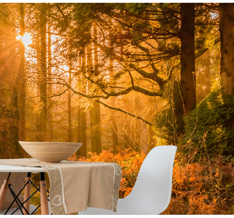 Fototapete Natur beleuchtete waldlandschaft - TenStickers