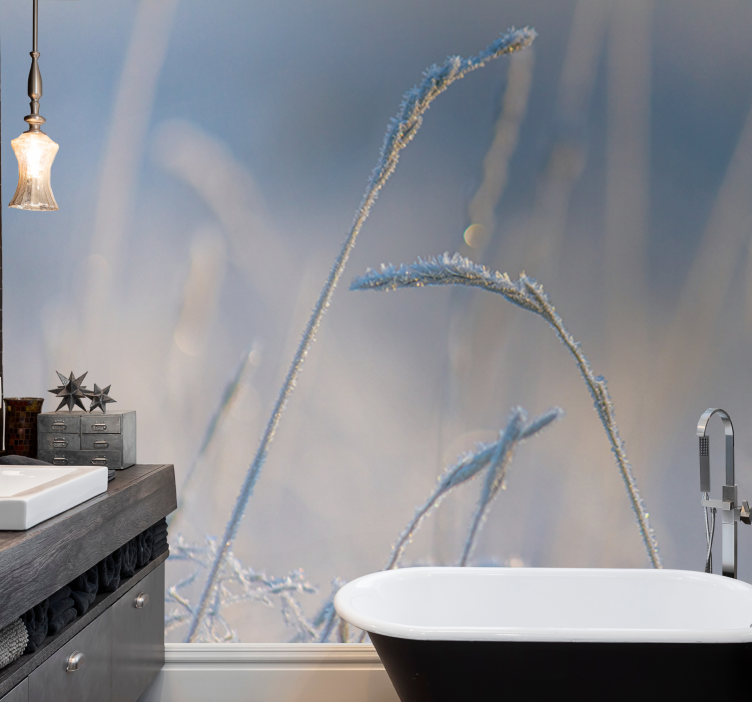 Fototapete natur frostige grashalme - TenStickers