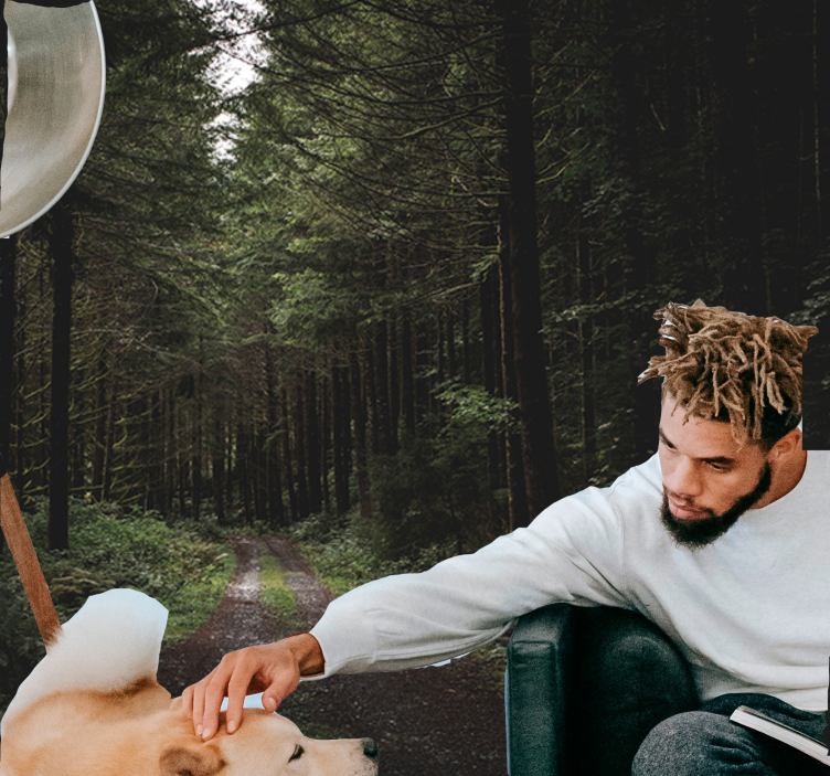 Fototapete natur grüner waldweg - TenStickers