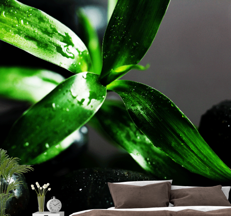 Fototapete natur mit frischem blatttextur - TenStickers