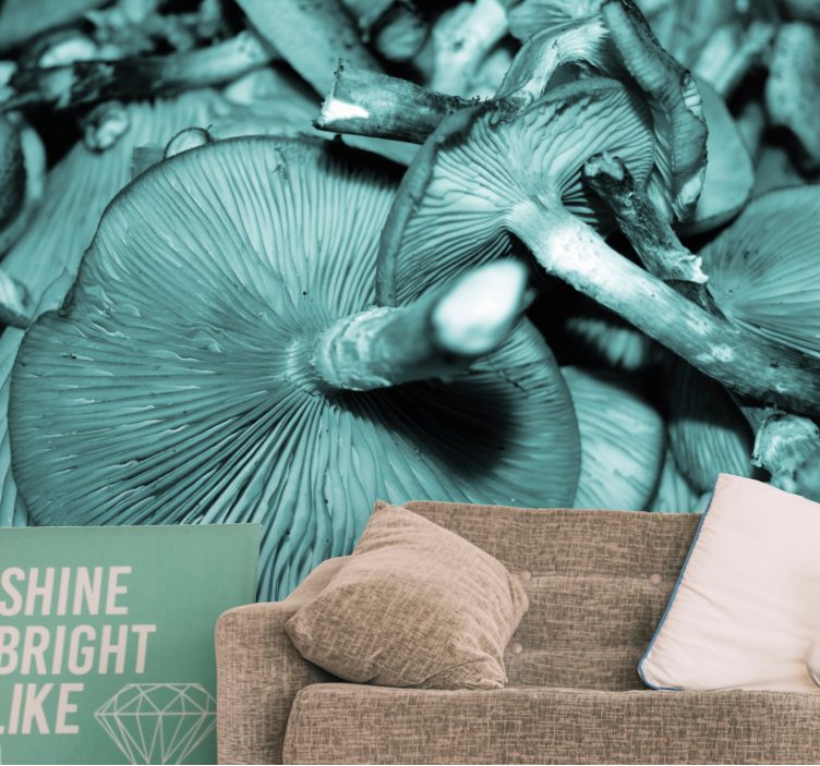 Fototapete natur pilzgruppe - TenStickers