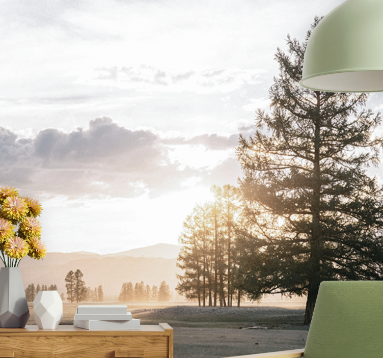 Fototapete natur ruhige kiefer silhouette - TenStickers