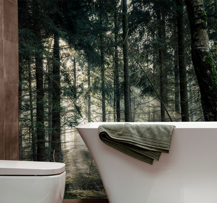 Fototapete natur ruhiger waldblick - TenStickers