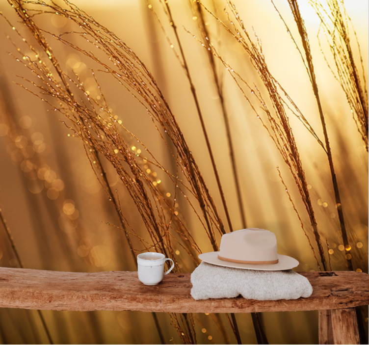 Fototapete natur sanftes goldenes gras - TenStickers