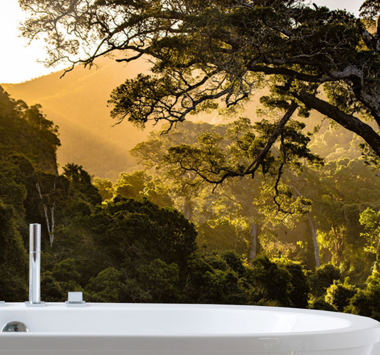 Fototapete natur üppige waldlandschaft - TenStickers