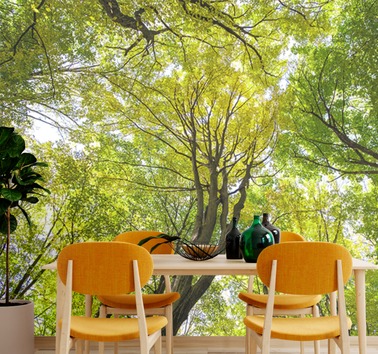 Fototapete natur üppiges walddach - TenStickers