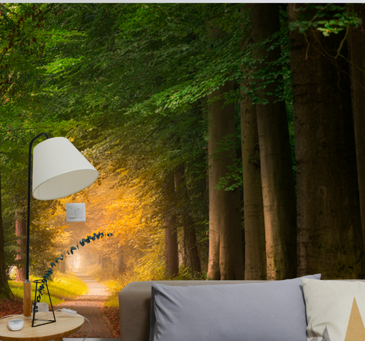 Fototapete natur waldweg szene - TenStickers