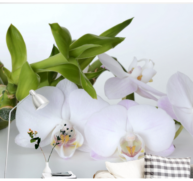 Fototapete orchidee elegante orchideenanordnung - TenStickers