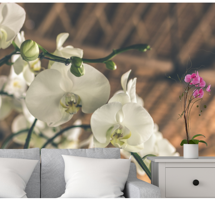 Fototapete orchidee elegante orchideenblüten - TenStickers