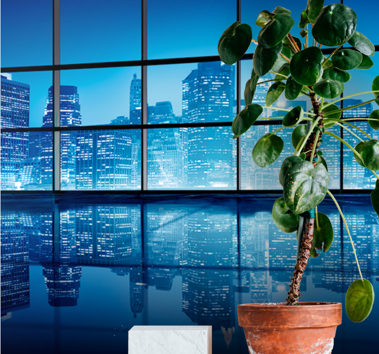 Fototapete städte nächtliche stadtreflexion - TenStickers