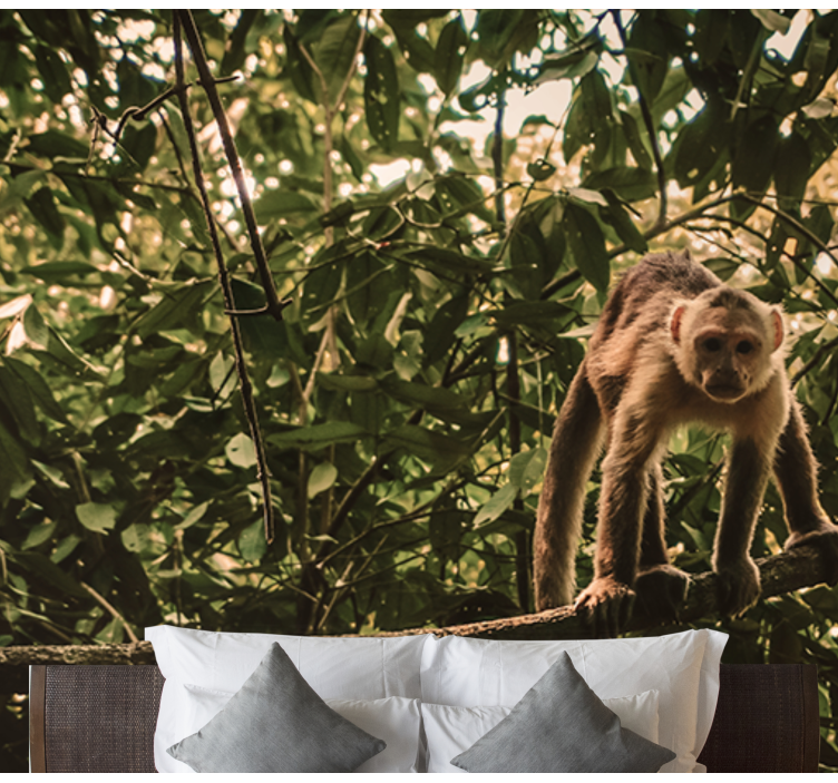 Fototapete Tiere affe auf ast - TenStickers