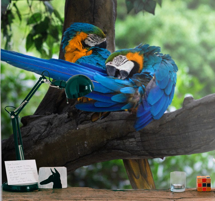 Fototapete tiere buntes ara paar - TenStickers