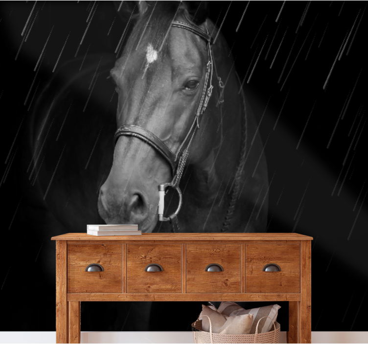 Fototapete tiere edles pferdeporträt - TenStickers