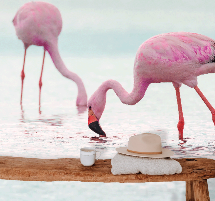 Fototapete tiere flamingo fütterungsszene - TenStickers