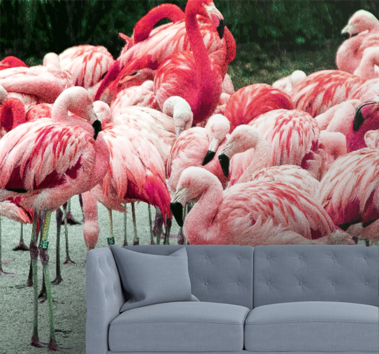 Fototapete tiere flamingo schwarm - TenStickers