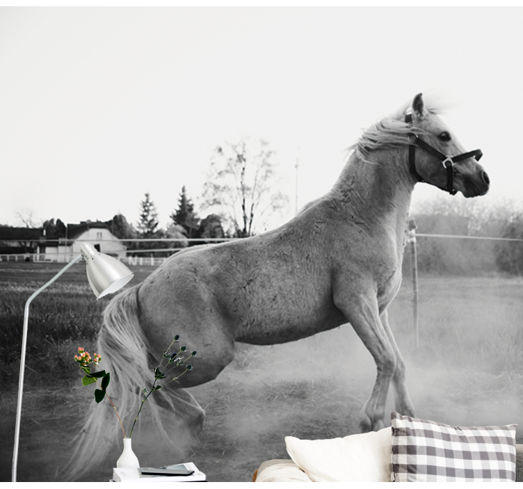 Fototapete tiere galoppierendes pony - TenStickers