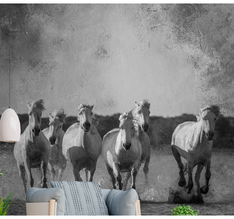 Fototapete tiere laufende weiße pferde - TenStickers