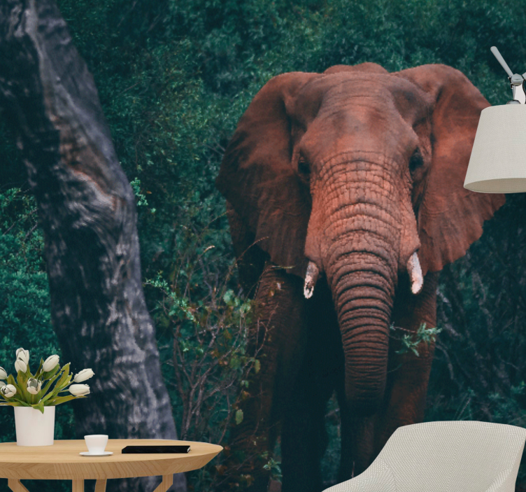 Fototapete tiere majestätische elefanten präsenz - TenStickers