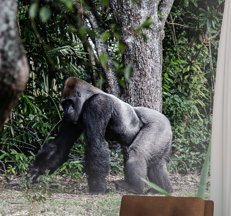 Fototapete tiere majestätischer gorilla beim spaziergang - TenStickers