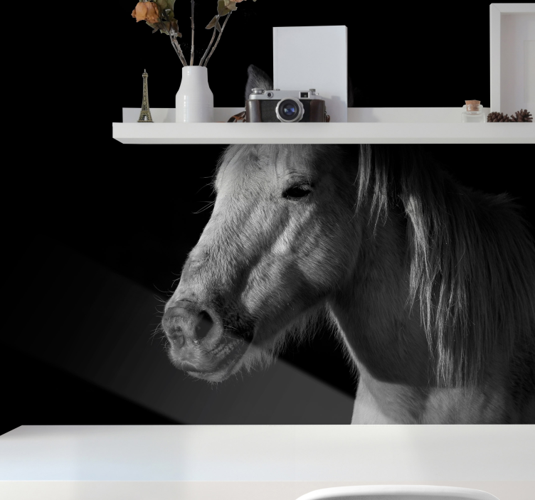 Fototapete Tiere majestätisches pferdeporträt - TenStickers