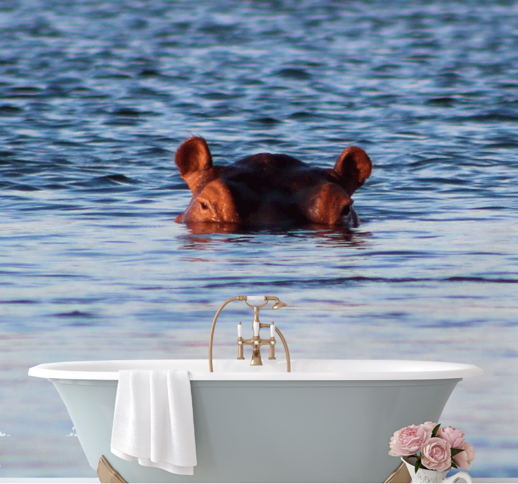 Fototapete tiere nilpferd schwimmt ruhig - TenStickers