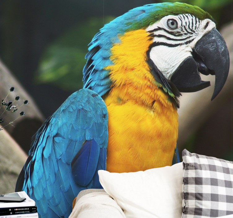 Fototapete Tiere porträt eines aras - TenStickers