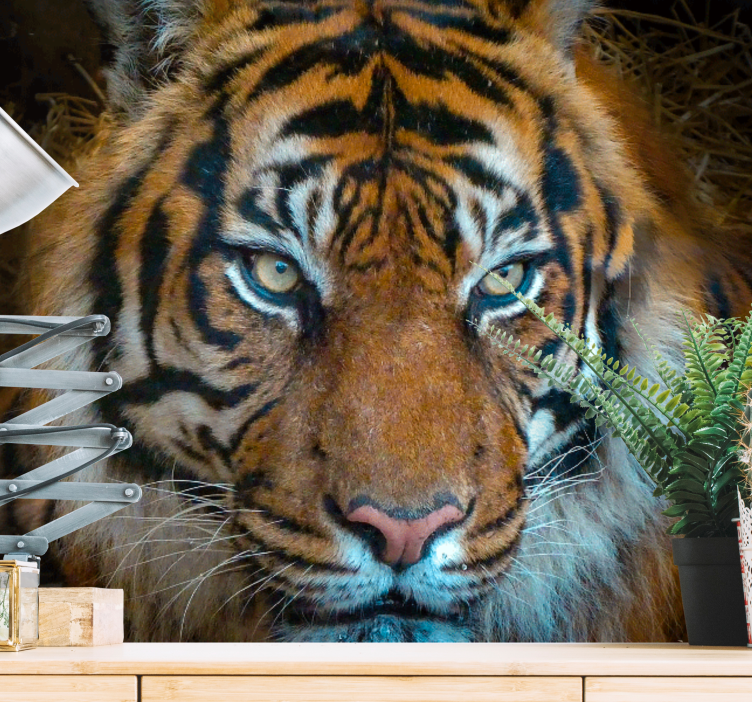 Fototapete tiere regal tiger illustration - TenStickers