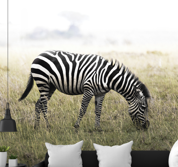 Fototapete tiere zebra friedlich weidend - TenStickers