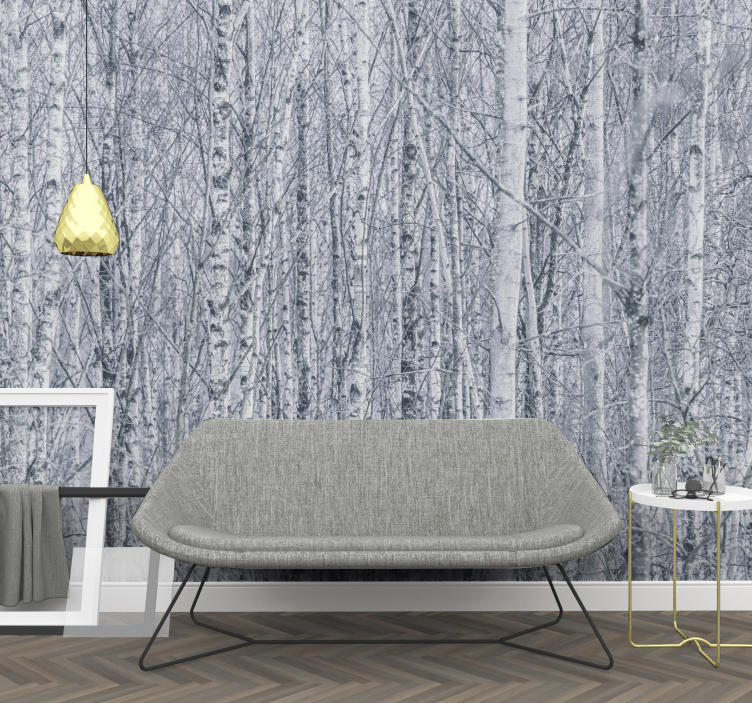 Fototapete wald birkenhain wildnis - TenStickers