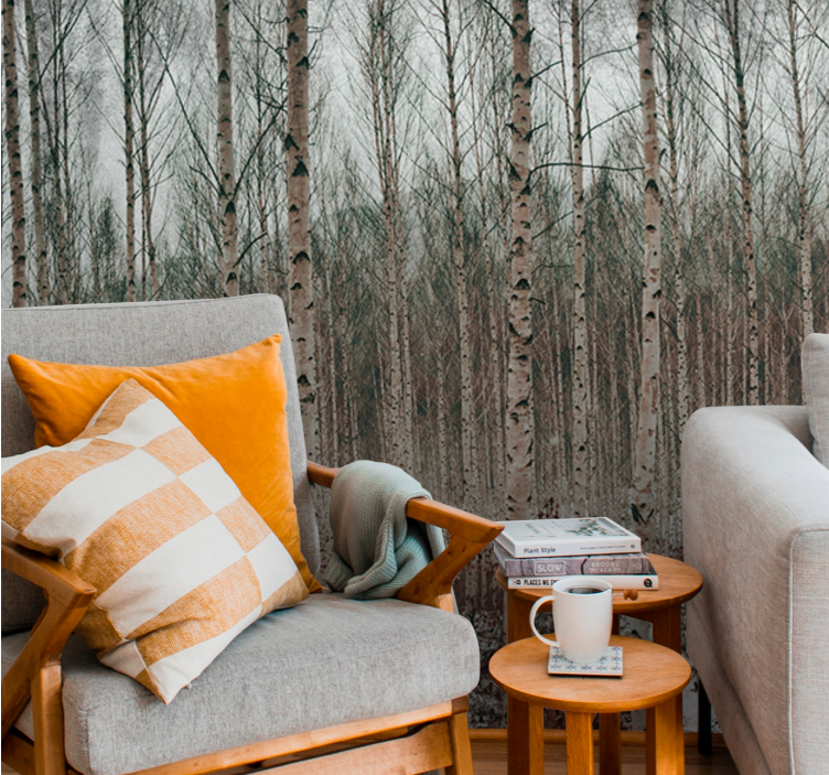 Fototapete wald mit birkenlandschaft - TenStickers