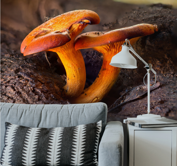 Fototapete wald mit pilz-naturmotiv - TenStickers