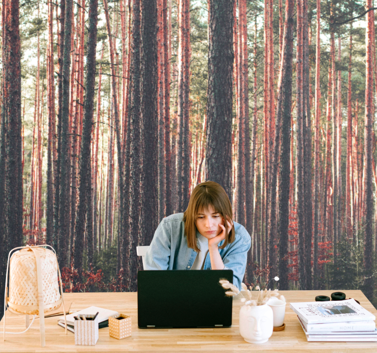 Fototapete wald ruhige kiefernwälder - TenStickers