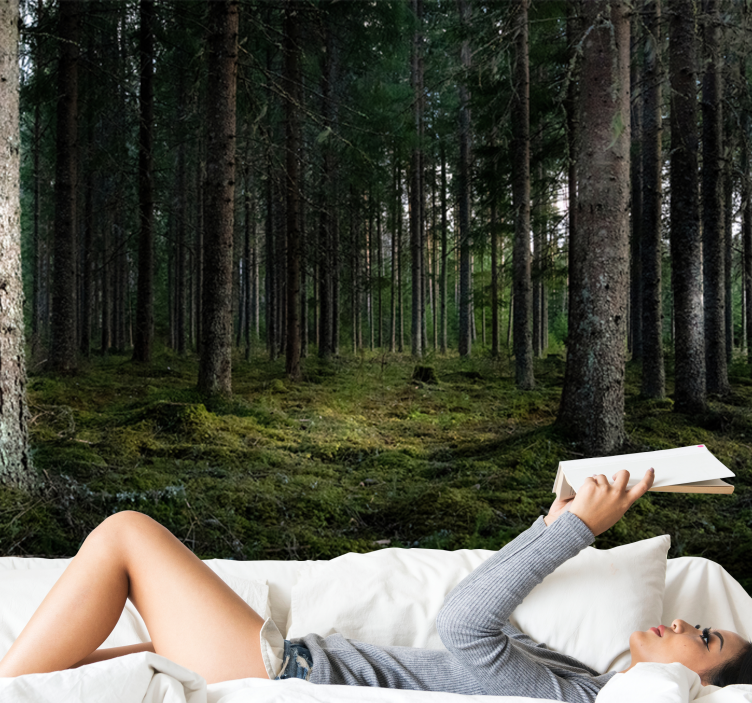 Fototapete Wald ruhige landschaft - TenStickers