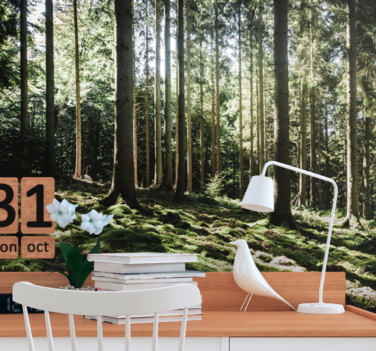 Fototapete wald ruhige waldszene - TenStickers