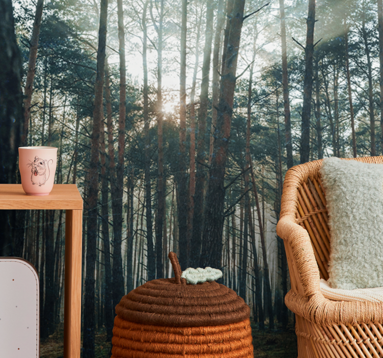 Fototapete wald ruhiger kiefernhain - TenStickers