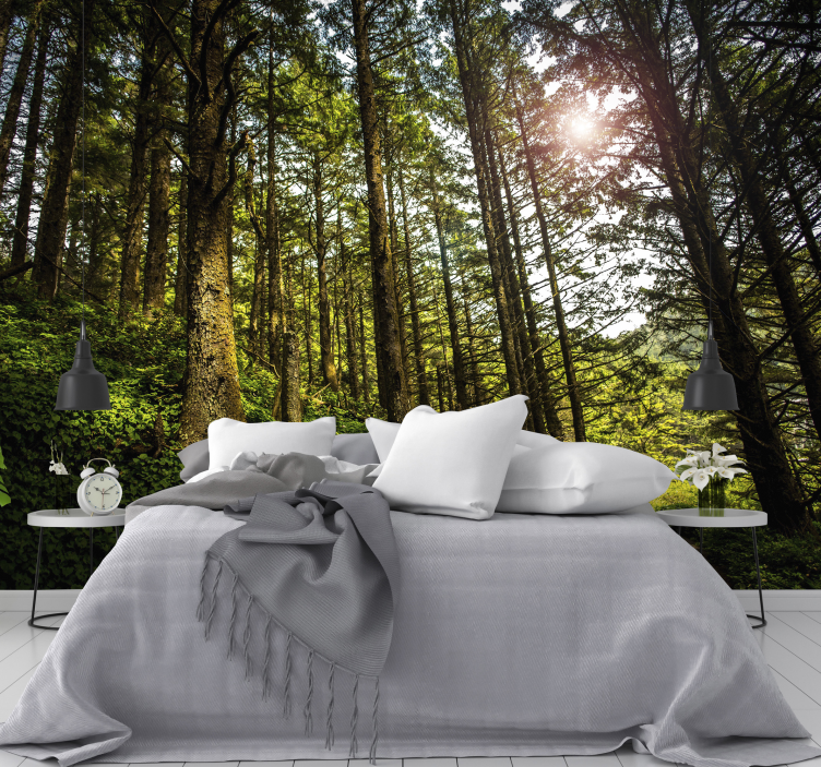 Fototapete Wald sonnenbeschienener waldweg - TenStickers