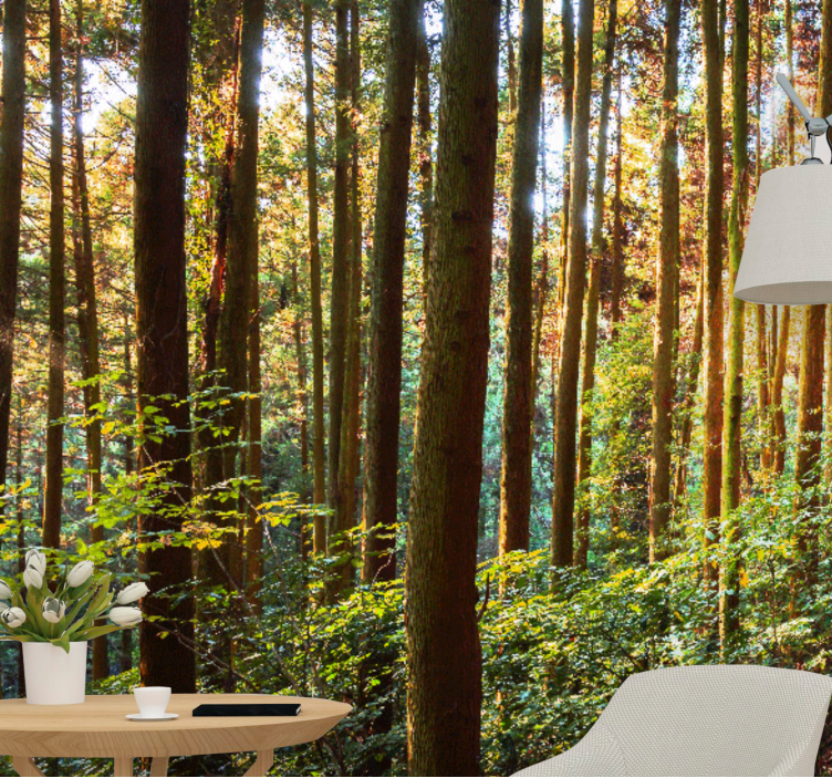 Fototapete wald üppiger grüner wald - TenStickers