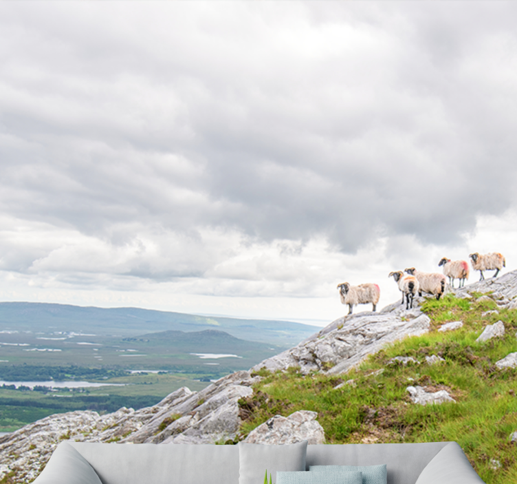 Fototapeten weitere tiere lämmer auf hängen - TenStickers