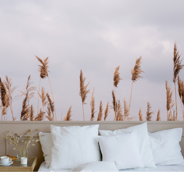 Fototapete Natur Pampasgras neblige aussicht - TenStickers