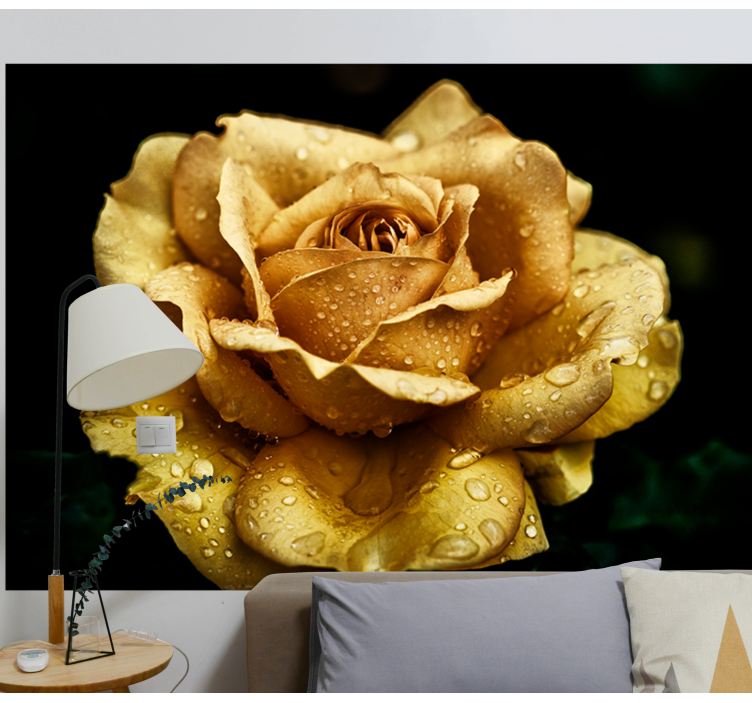Fototapete Rosen Nahaufnahme goldene rose - TenStickers