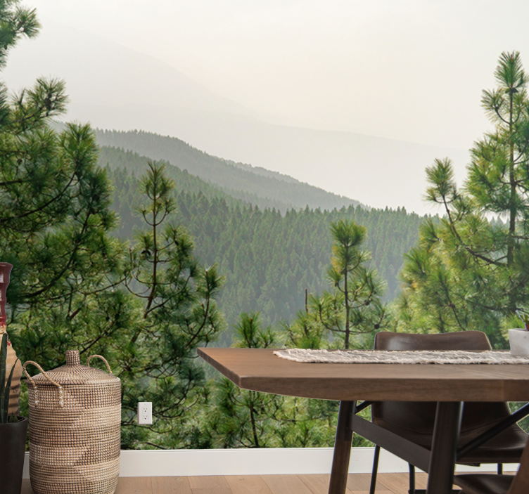 Fototapete Wald Baumkronen von oben - TenStickers